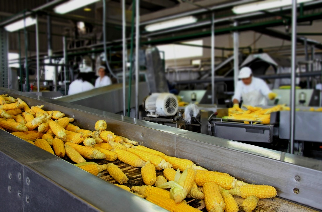 Производство продуктов питания в Белоруссии